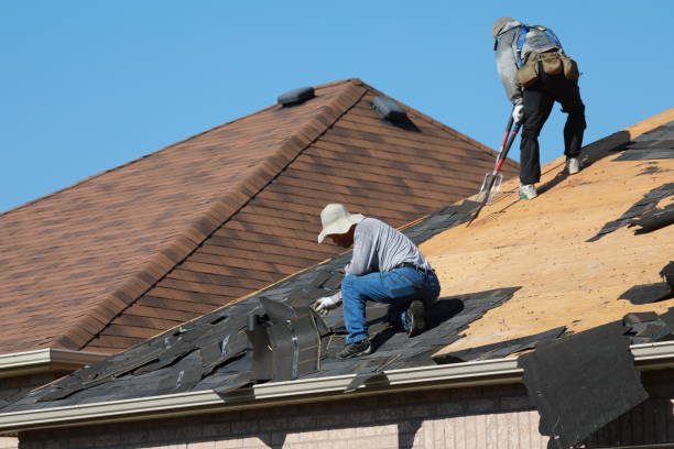 Best Roof Moss and Algae Removal  in Cleveland, MS